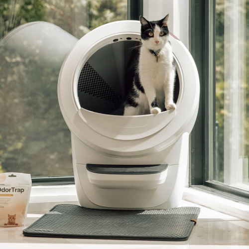 litter robot review